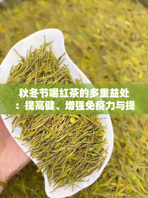 秋冬节喝红茶的多重益处：提高健、增强免疫力与提供热量