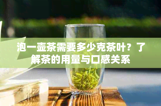 泡一壶茶需要多少克茶叶？了解茶的用量与口感关系