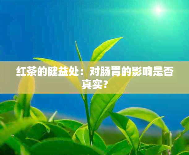 红茶的健益处：对肠胃的影响是否真实？