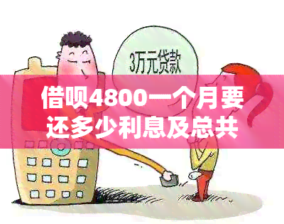 借呗4800一个月要还多少利息及总共还款金额