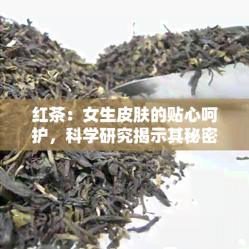 红茶：女生皮肤的贴心呵护，科学研究揭示其秘密