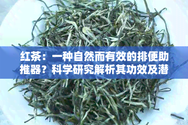 红茶：一种自然而有效的排便助推器？科学研究解析其功效及潜在风险