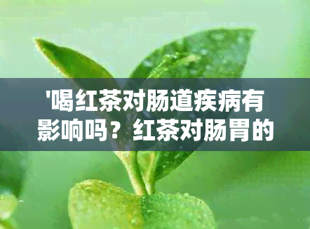 '喝红茶对肠道疾病有影响吗？红茶对肠胃的作用与影响'