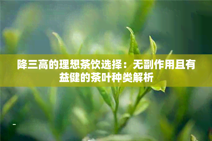 降三高的理想茶饮选择：无副作用且有益健的茶叶种类解析