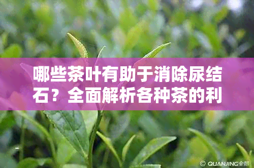 哪些茶叶有助于消除尿结石？全面解析各种茶的利尿效果及结石预防方法