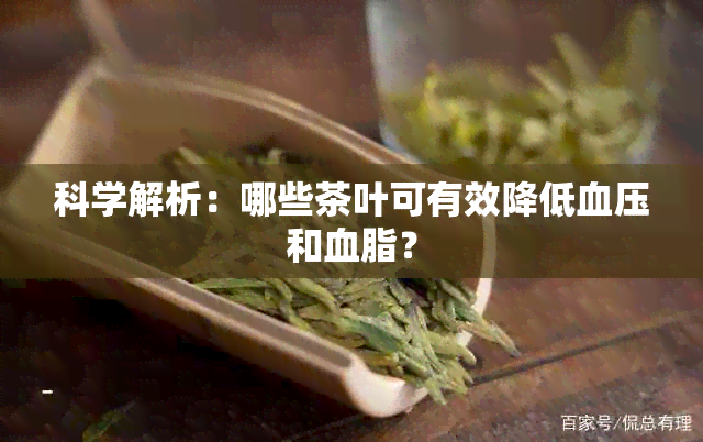 科学解析：哪些茶叶可有效降低血压和血脂？