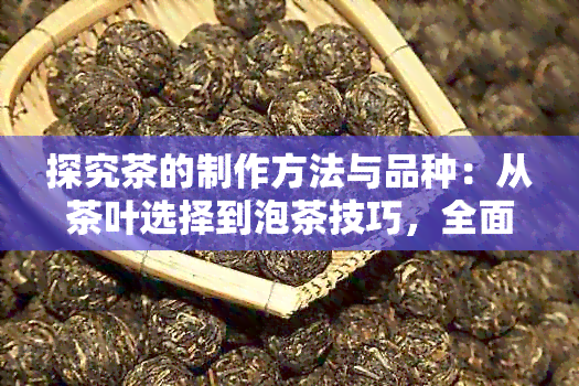 探究茶的制作方法与品种：从茶叶选择到泡茶技巧，全面了解色泡茶的世界