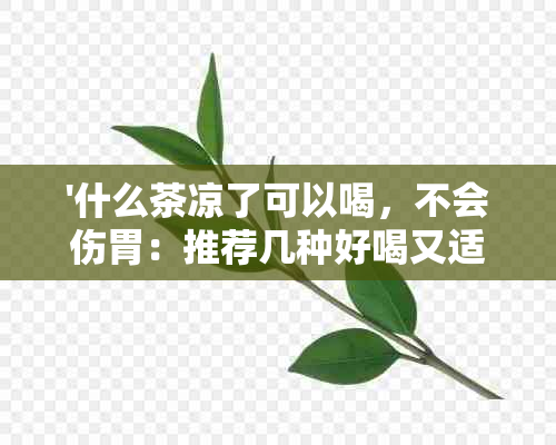 '什么茶凉了可以喝，不会伤胃：推荐几种好喝又适合冷饮的茶'