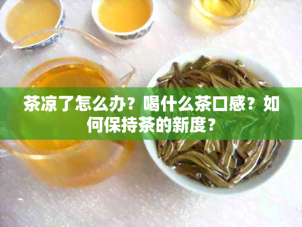 茶凉了怎么办？喝什么茶口感？如何保持茶的新度？