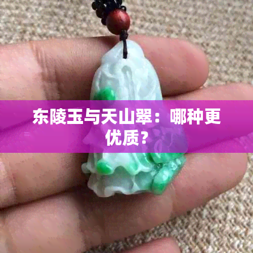 东陵玉与天山翠：哪种更优质？