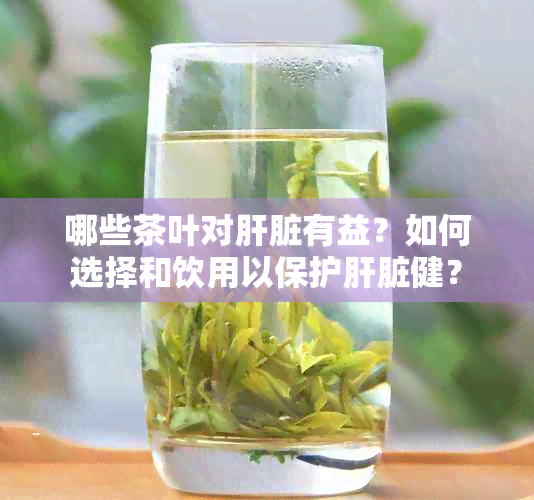 哪些茶叶对肝脏有益？如何选择和饮用以保护肝脏健？