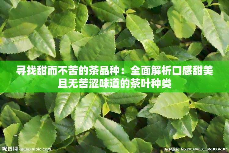 寻找甜而不苦的茶品种：全面解析口感甜美且无苦涩味道的茶叶种类