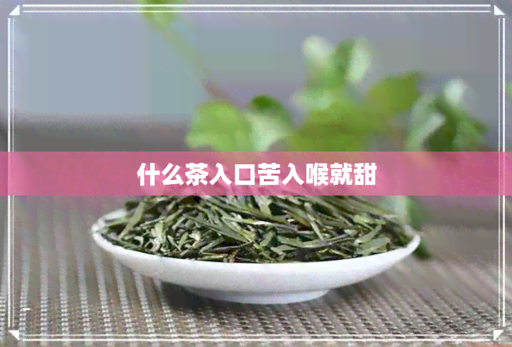 什么茶入口苦入喉就甜