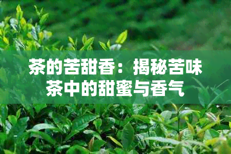 茶的苦甜香：揭秘苦味茶中的甜蜜与香气