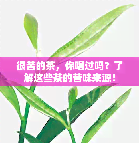 很苦的茶，你喝过吗？了解这些茶的苦味来源！