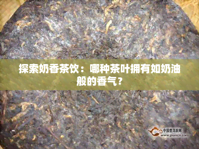 探索奶香茶饮：哪种茶叶拥有如奶油般的香气？