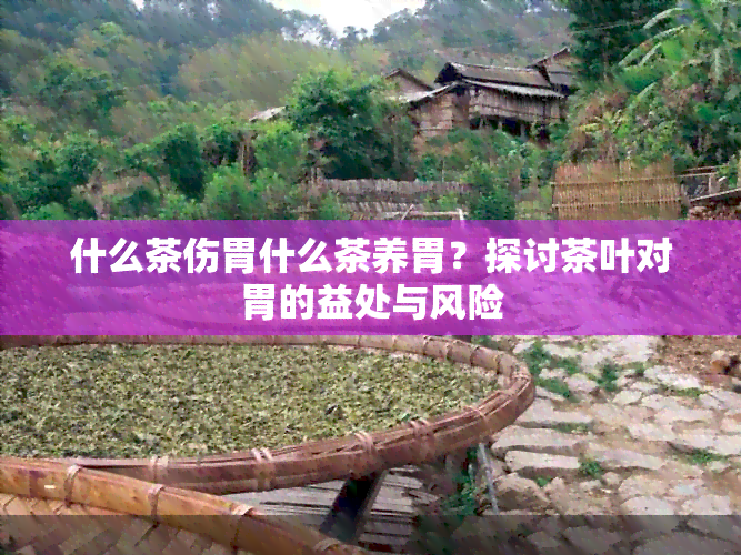 什么茶伤胃什么茶养胃？探讨茶叶对胃的益处与风险