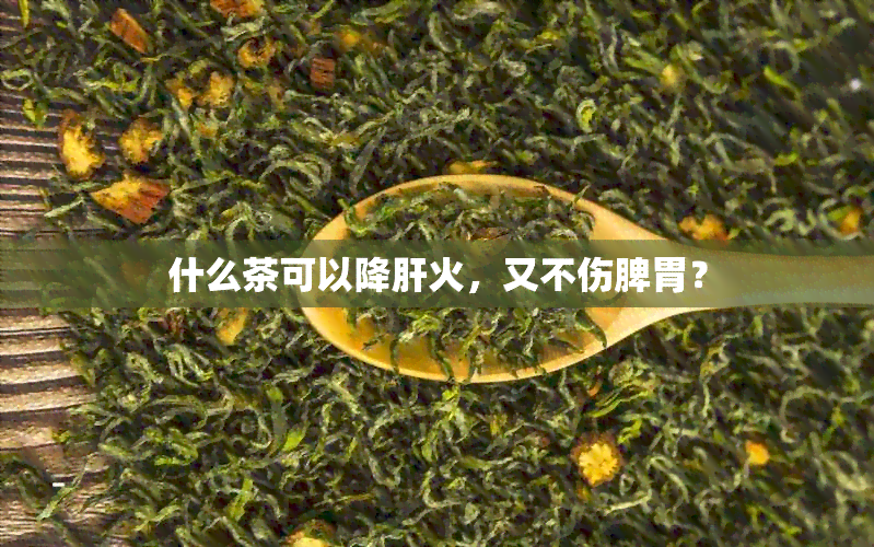 什么茶可以降肝火，又不伤脾胃？