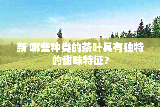 新 哪些种类的茶叶具有独特的甜味特征？