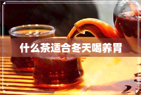 什么茶适合冬天喝养胃