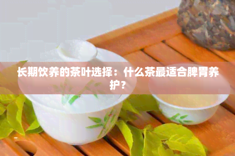 长期饮养的茶叶选择：什么茶最适合脾胃养护？