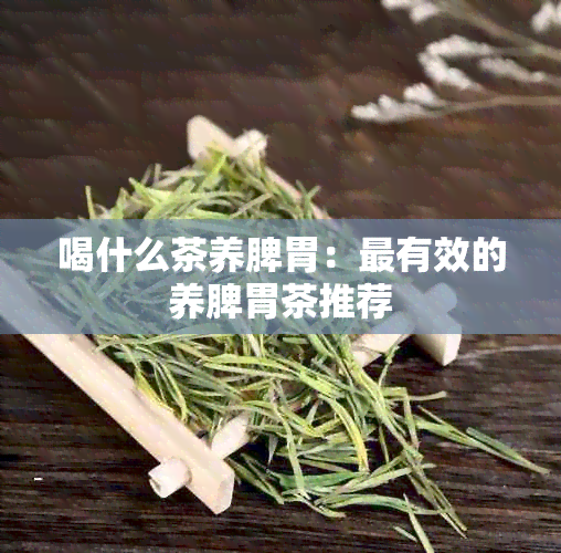 喝什么茶养脾胃：最有效的养脾胃茶推荐