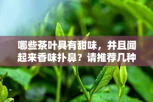 哪些茶叶具有甜味，并且闻起来香味扑鼻？请推荐几种茶品。