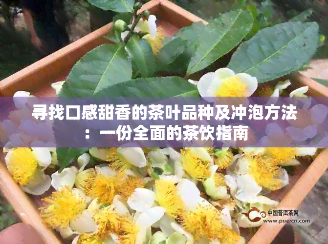 寻找口感甜香的茶叶品种及冲泡方法：一份全面的茶饮指南