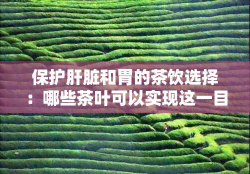 保护肝脏和胃的茶饮选择：哪些茶叶可以实现这一目标？