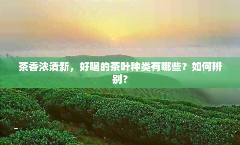 茶香浓清新，好喝的茶叶种类有哪些？如何辨别？