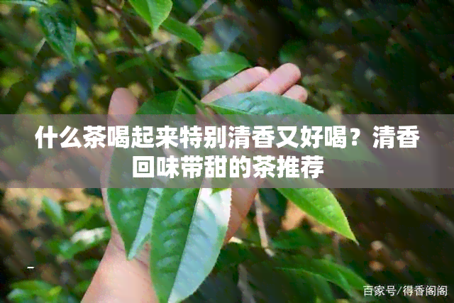 什么茶喝起来特别清香又好喝？清香回味带甜的茶推荐