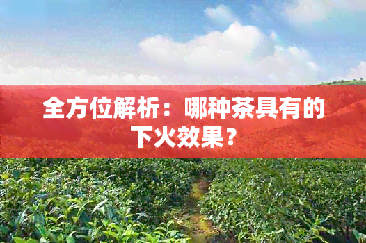 全方位解析：哪种茶具有的下火效果？