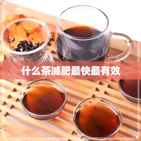 什么茶减肥最快最有效