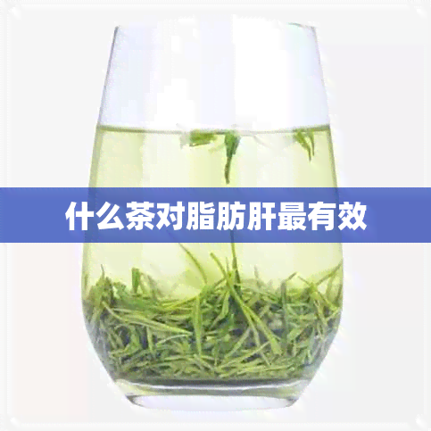 什么茶对脂肪肝最有效