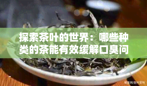 探索茶叶的世界：哪些种类的茶能有效缓解口臭问题？