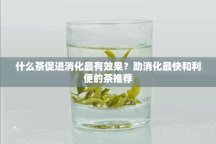 什么茶促进消化最有效果？助消化最快和利便的茶推荐