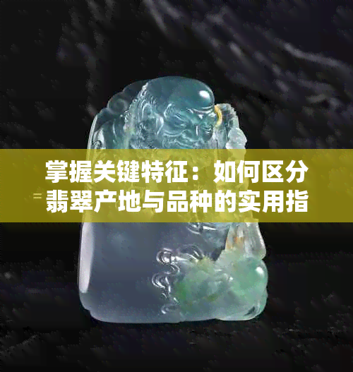 掌握关键特征：如何区分翡翠产地与品种的实用指南