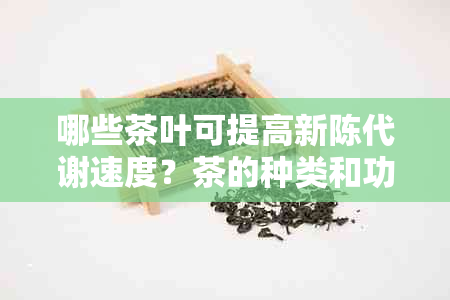 哪些茶叶可提高新陈代谢速度？茶的种类和功效解析