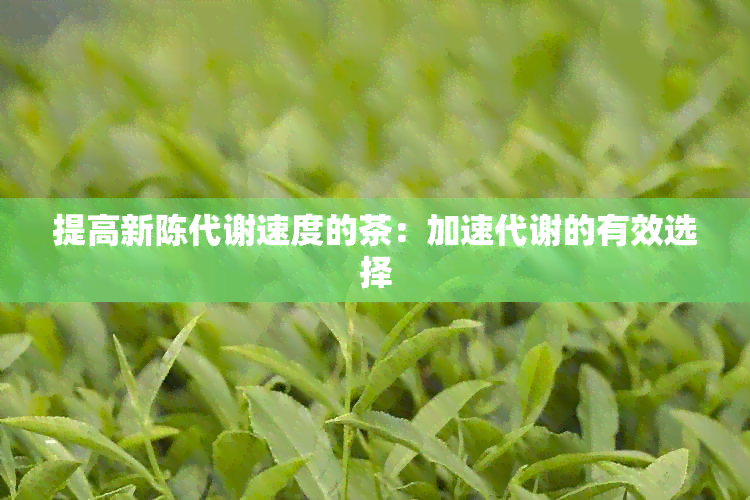 提高新陈代谢速度的茶：加速代谢的有效选择