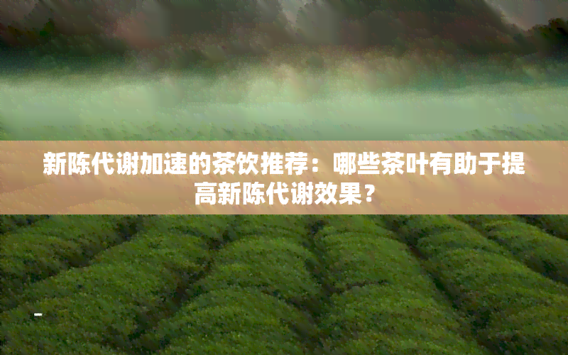 新陈代谢加速的茶饮推荐：哪些茶叶有助于提高新陈代谢效果？