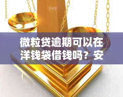 微粒贷逾期可以在洋钱袋借钱吗？安全吗？