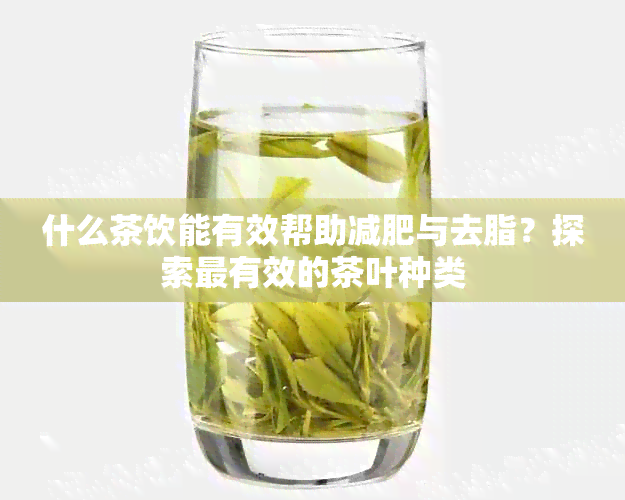 什么茶饮能有效帮助减肥与去脂？探索最有效的茶叶种类