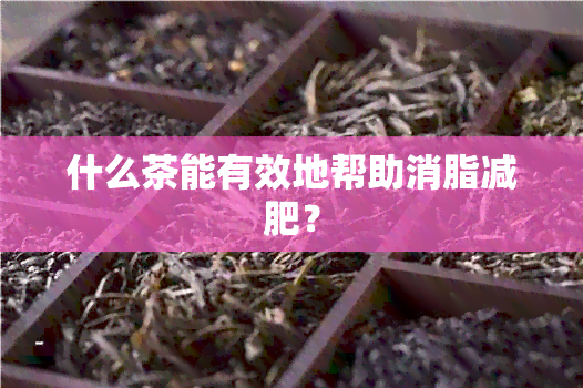 什么茶能有效地帮助消脂减肥？