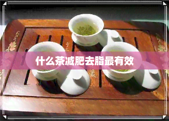 什么茶减肥去脂最有效