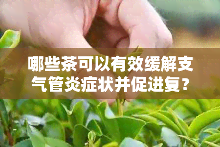 哪些茶可以有效缓解支气管炎症状并促进复？