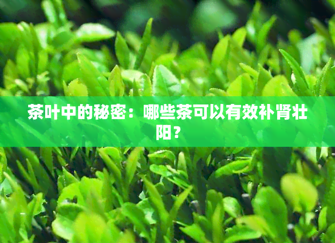 茶叶中的秘密：哪些茶可以有效补肾壮阳？