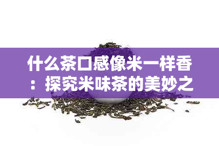 什么茶口感像米一样香：探究米味茶的美妙之处