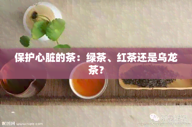 保护心脏的茶：绿茶、红茶还是乌龙茶？