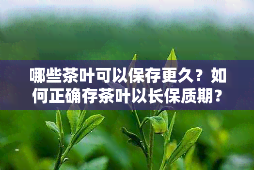 哪些茶叶可以保存更久？如何正确存茶叶以长保质期？