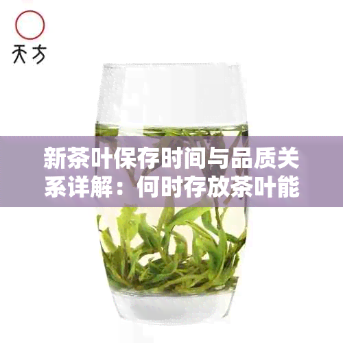 新茶叶保存时间与品质关系详解：何时存放茶叶能使口感更佳？